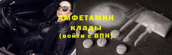 прущие грибы Ачинск