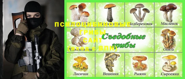 apvp Михайловск