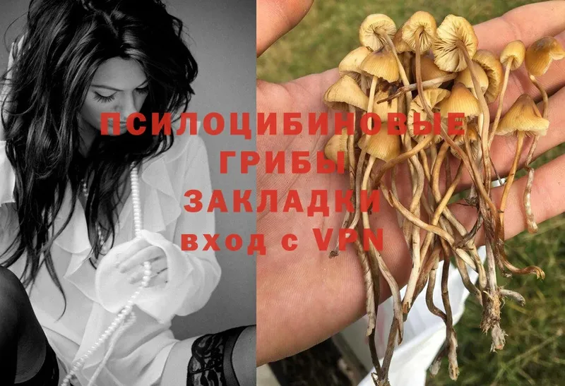 Псилоцибиновые грибы Magic Shrooms  Кулебаки 