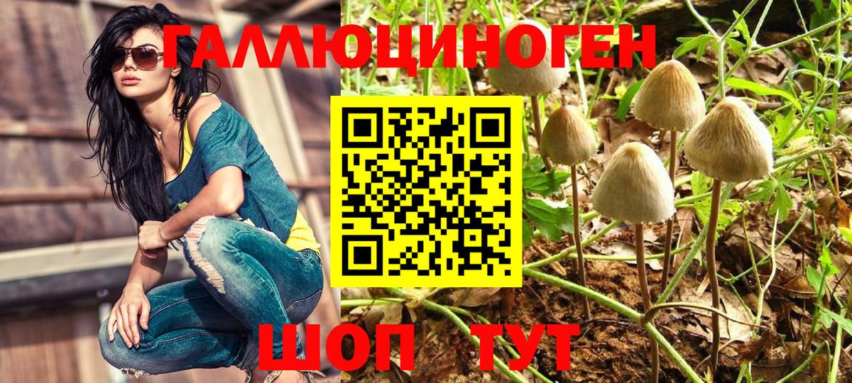 Кулебаки  Галлюциногенные грибы Cubensis  Галлюциногенные грибы мухоморы  Вход с VPN 